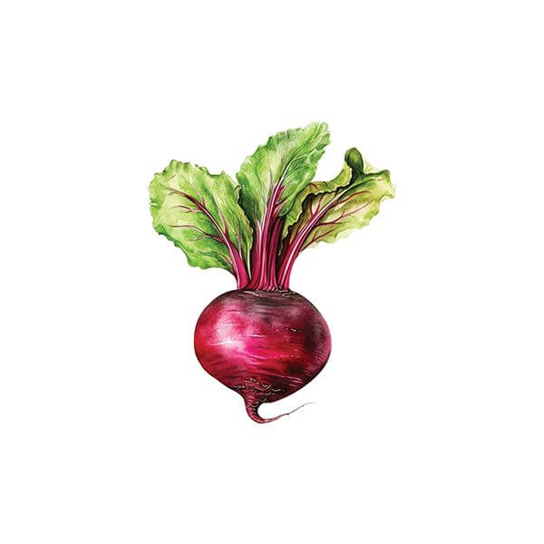 Beet Sticker Decorative Stickers HOUSE OF SWANK