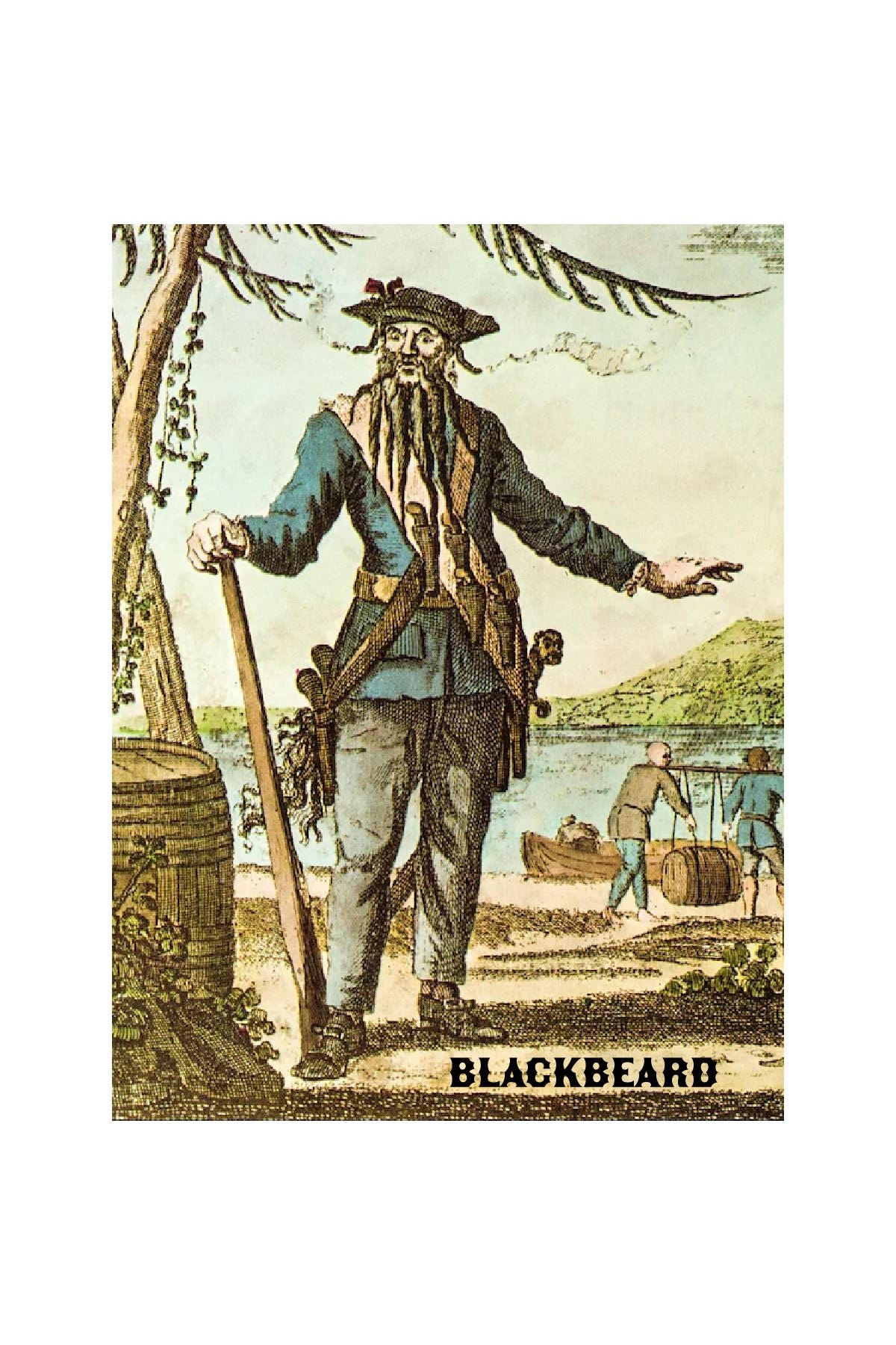 Blackbeard Pirate Full Color Sticker - Decorative Stickers - House of Swank Raleigh NC