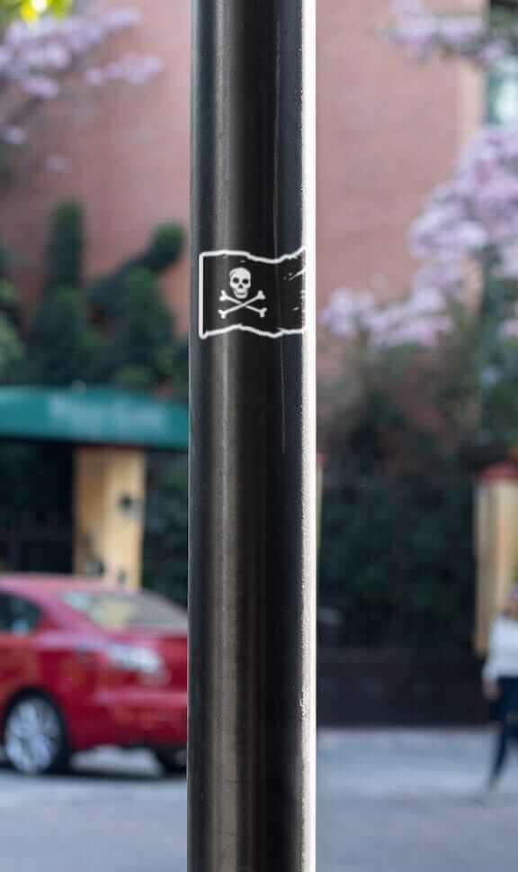 Jolly Roger Pirate Sticker - Decorative Stickers - House of Swank Raleigh NC