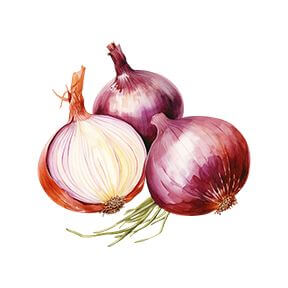 Red Onion Sticker Decorative Stickers HOUSE OF SWANK