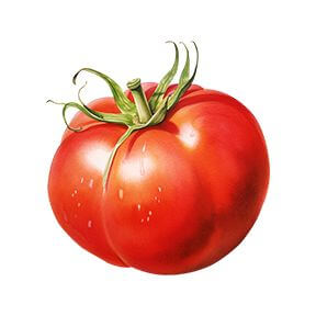 Red Tomato Sticker Decorative Stickers HOUSE OF SWANK