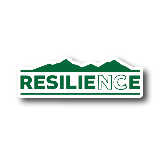 RESILIENCE NC Hurricane Relief Sticker Decorative Stickers HOUSE OF SWANK