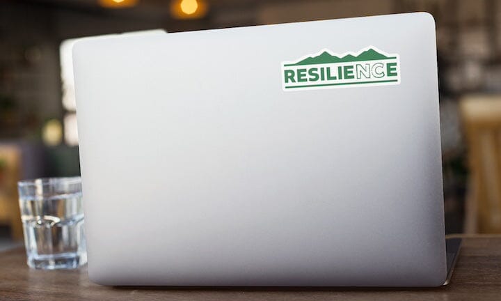 RESILIENCE NC Hurricane Relief Sticker Decorative Stickers HOUSE OF SWANK