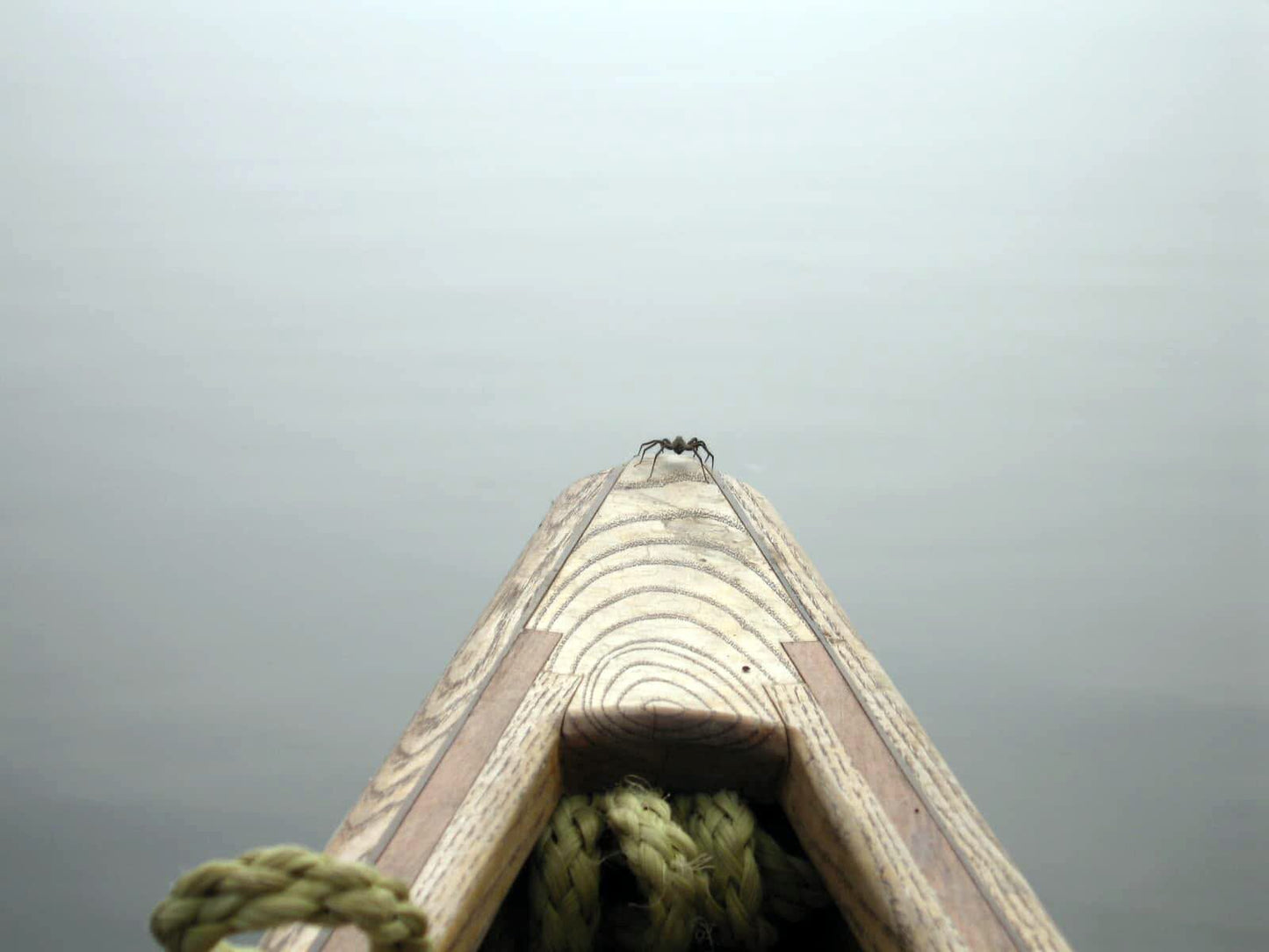 Source to Sea Mississippi River Canoe Journey Book House of Swank