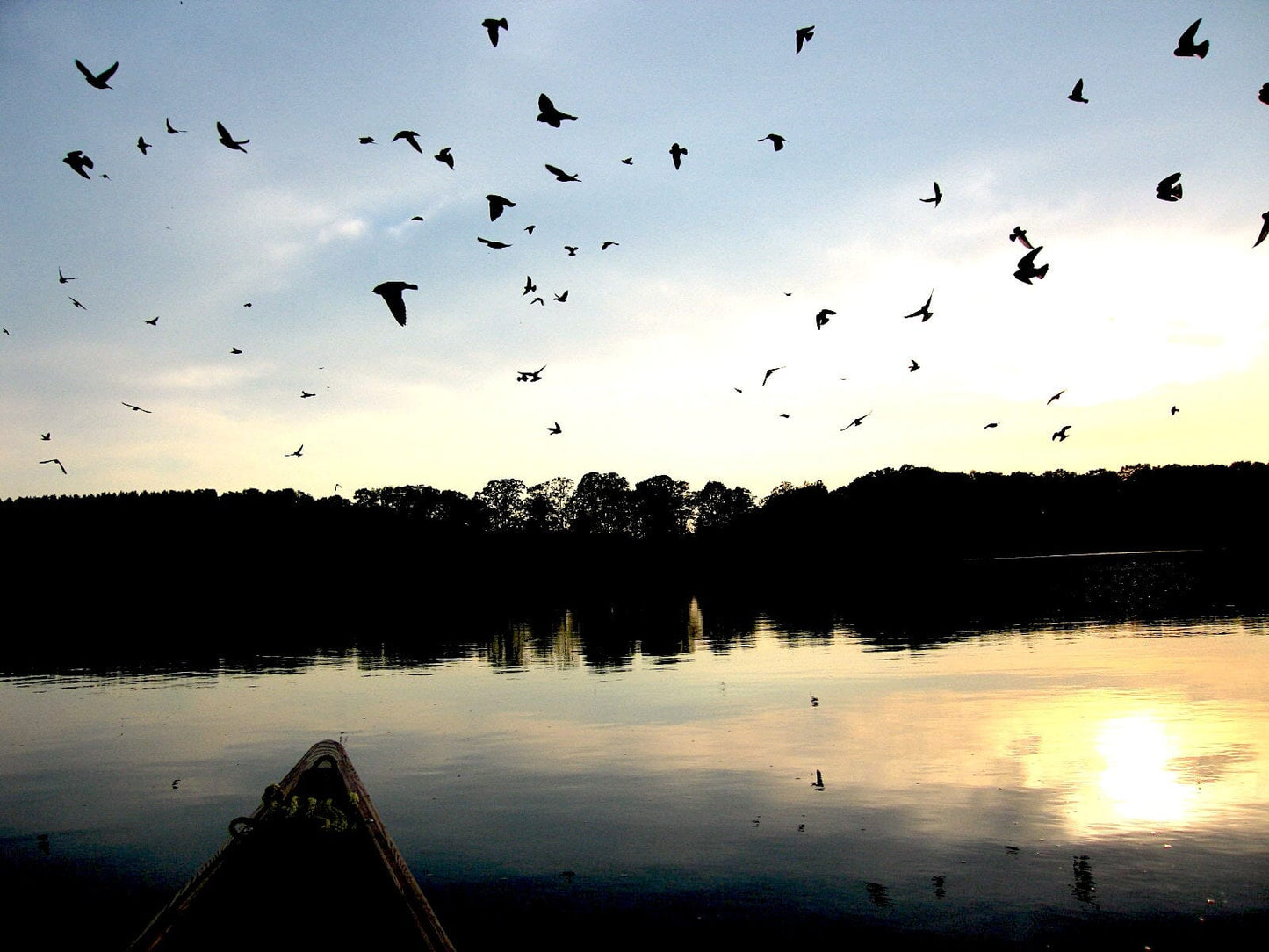 Source to Sea Mississippi River Canoe Journey Book House of Swank