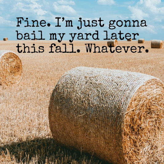 Fine. I’m just gon