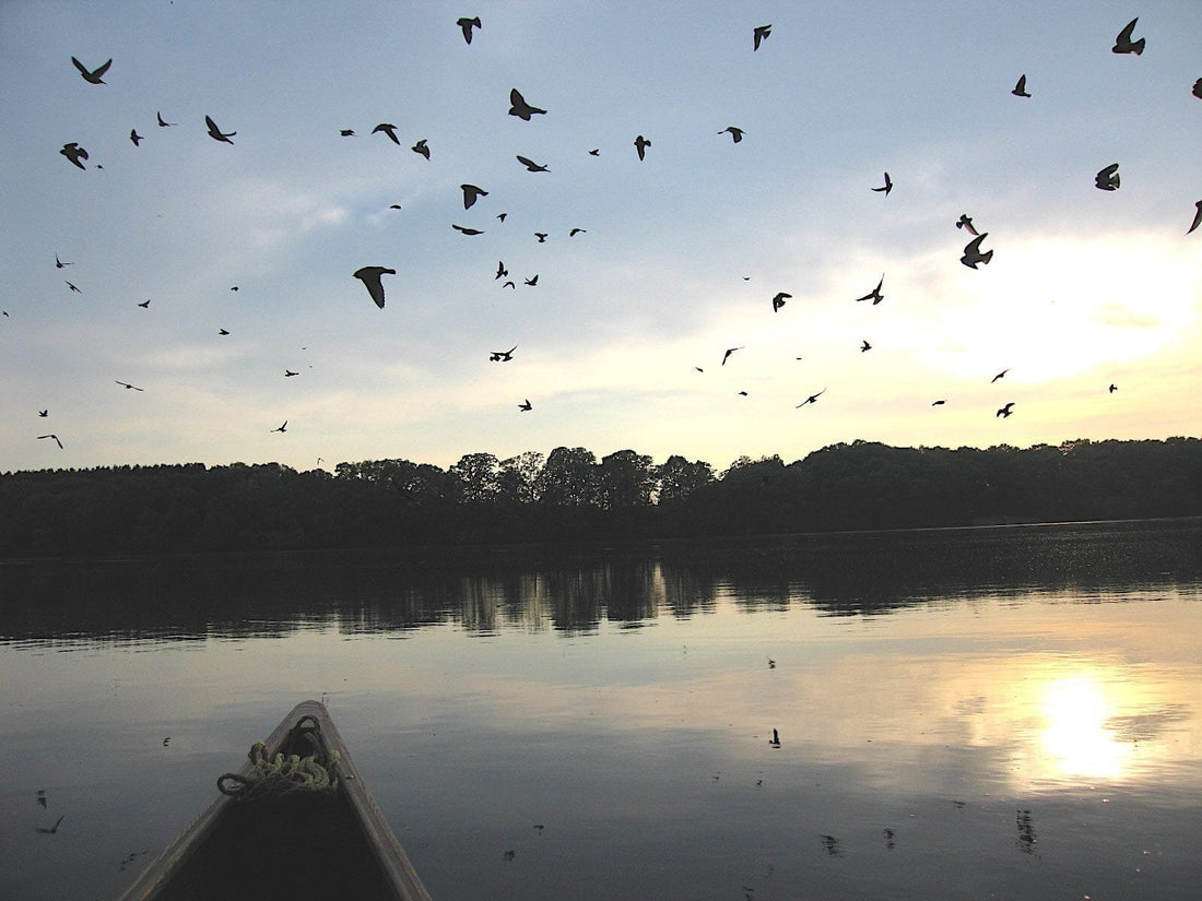 Mississippi River Source to Sea Photos