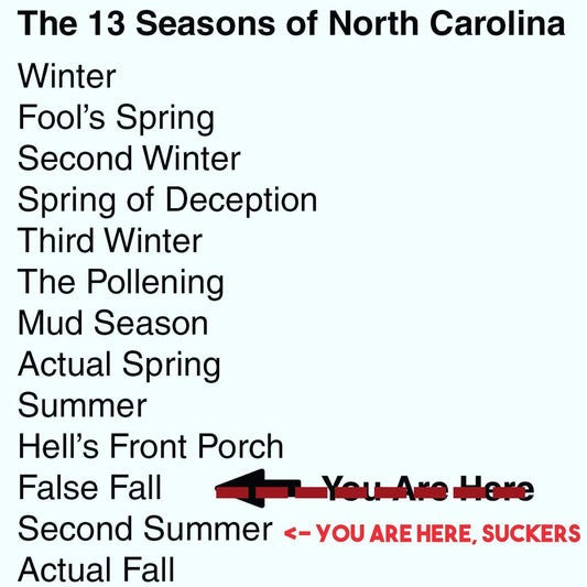 Welcome to Second Su