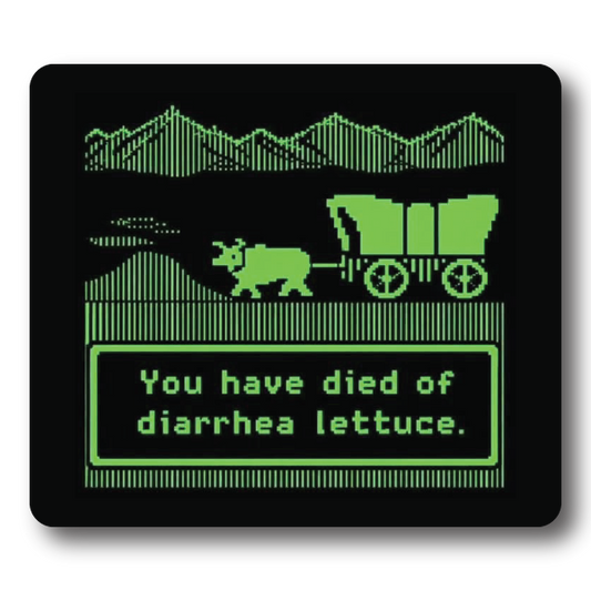 You Have Died of Diarrhea Lettuce Sticker | Funny Sticker