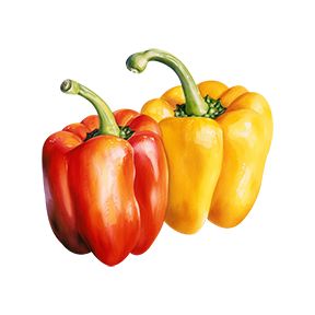 Bell Peppers Sticker Decorative Stickers HOUSE OF SWANK