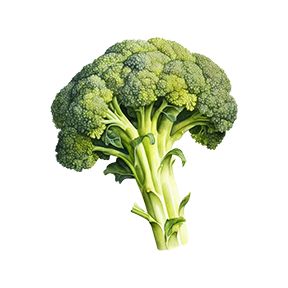 Broccoli Sticker Decorative Stickers HOUSE OF SWANK