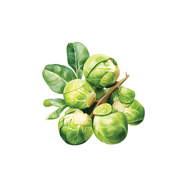 Brussel Sprout Sticker Decorative Stickers HOUSE OF SWANK