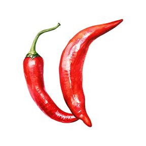 Chili Pepper Sticker Decorative Stickers HOUSE OF SWANK