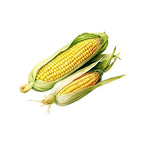 Corn Sticker Decorative Stickers HOUSE OF SWANK