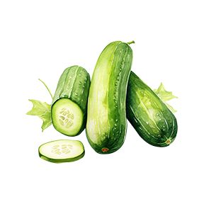 Cucumber Sticker Decorative Stickers HOUSE OF SWANK