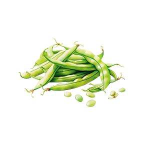 Garden Peas Sticker Decorative Stickers HOUSE OF SWANK