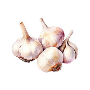 Garlic Cloves Sticker Decorative Stickers HOUSE OF SWANK