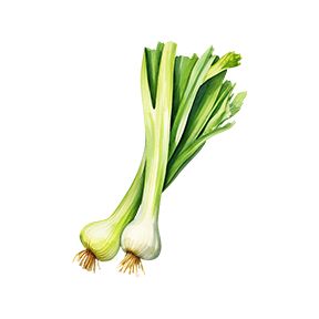 Green Onions Sticker Decorative Stickers HOUSE OF SWANK