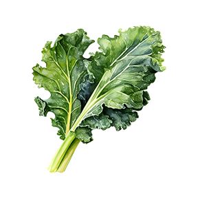 Kale Sticker Decorative Stickers HOUSE OF SWANK