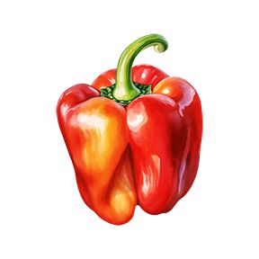 Red Bell Pepper Sticker Decorative Stickers HOUSE OF SWANK