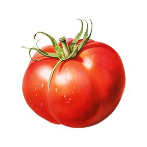 Red Tomato Sticker Decorative Stickers HOUSE OF SWANK