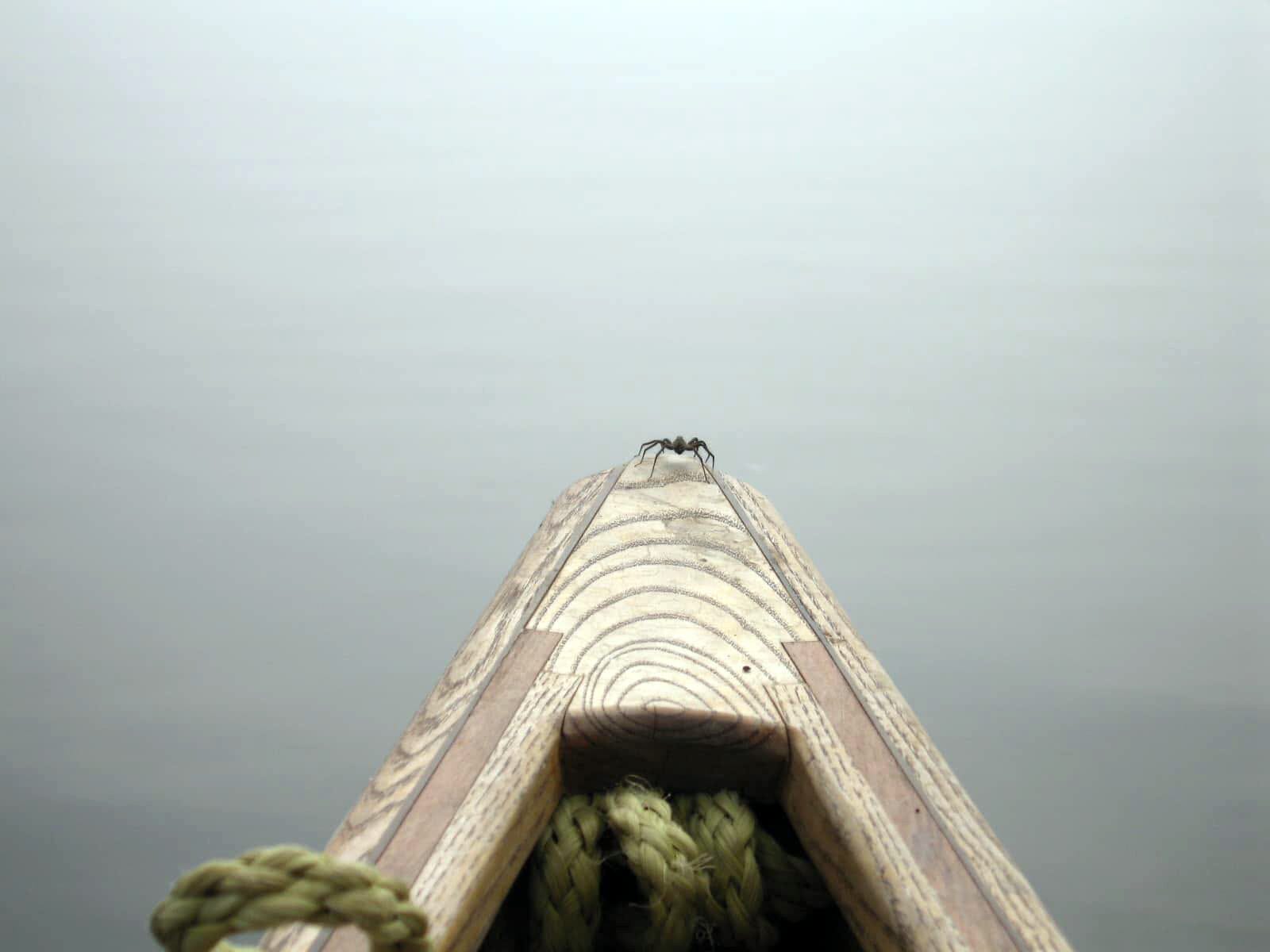 Source to Sea Mississippi River Canoe Journey Book House of Swank