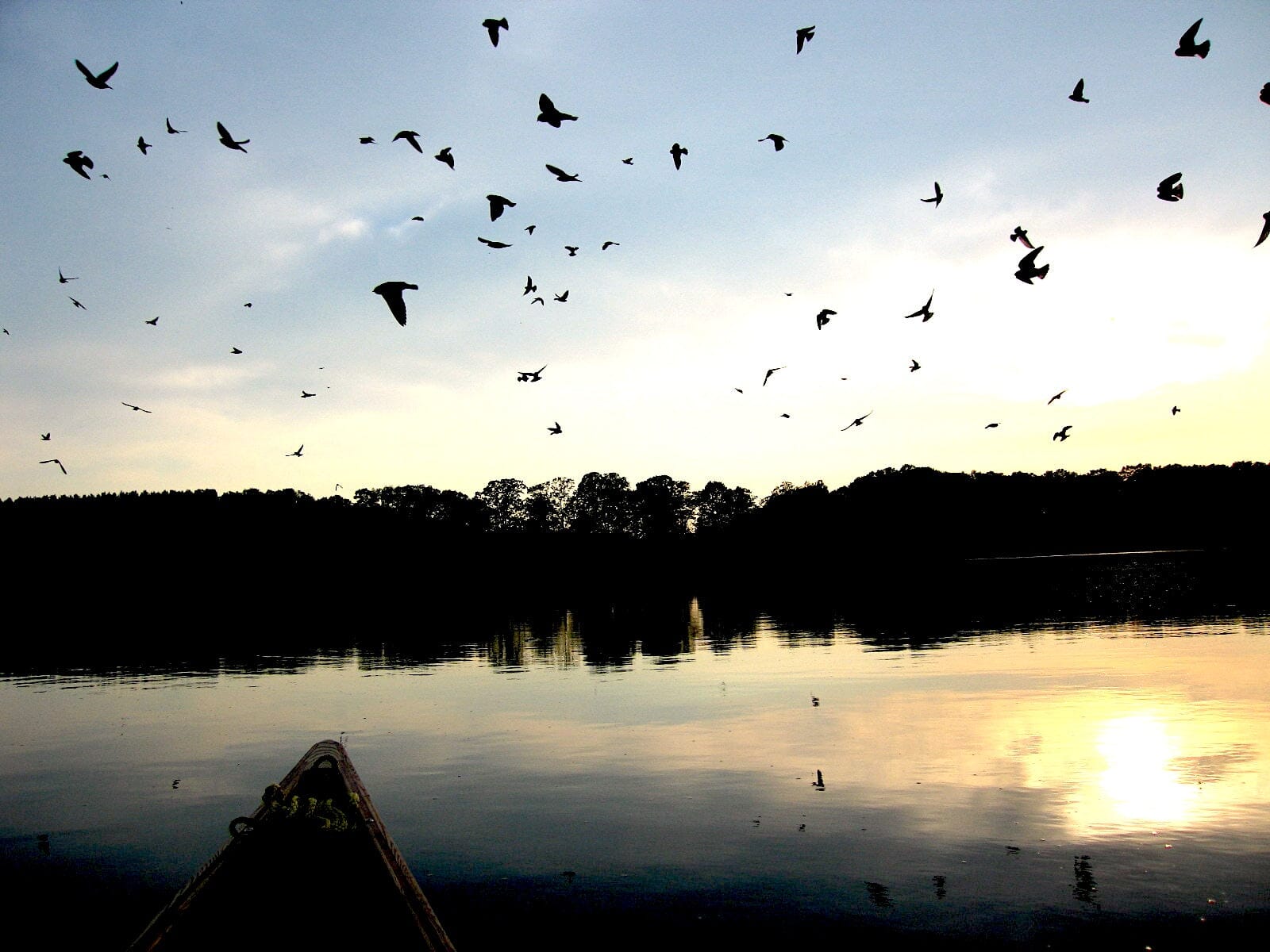 Source to Sea Mississippi River Canoe Journey Book House of Swank