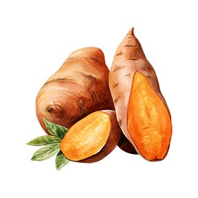 Sweet Potato Sticker Decorative Stickers HOUSE OF SWANK