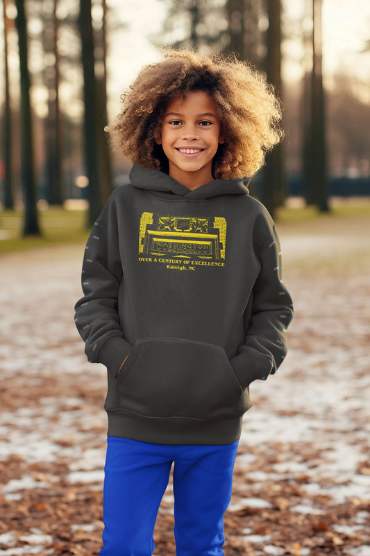 WASHINGTON WIZARD KIDS HOODIE. -CENTURY OF EXCELLENCE CUSTOM SCREEN PRINTING HOUSE OF SWANK