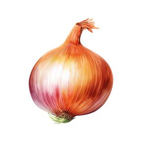 Yellow Onion Sticker Decorative Stickers HOUSE OF SWANK