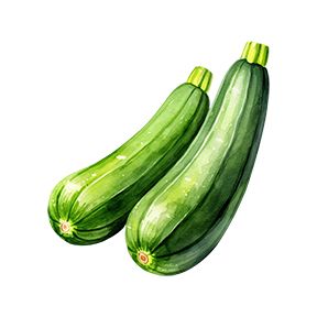 Zucchini Sticker Decorative Stickers HOUSE OF SWANK