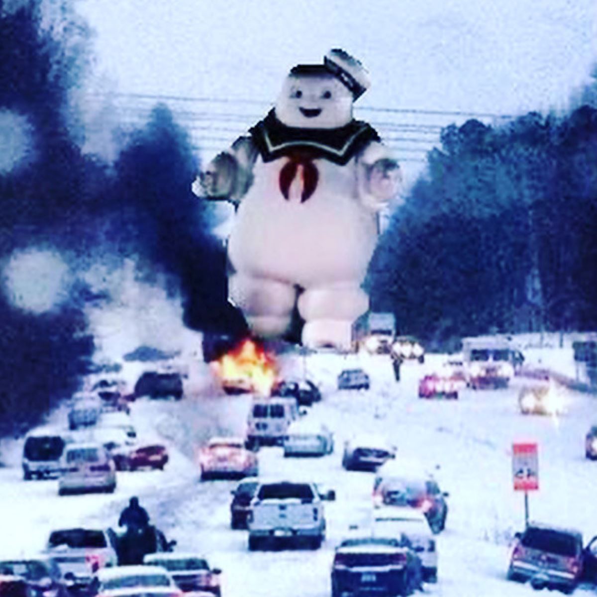 Snowmageddon Raleigh Coaster - House of Swank